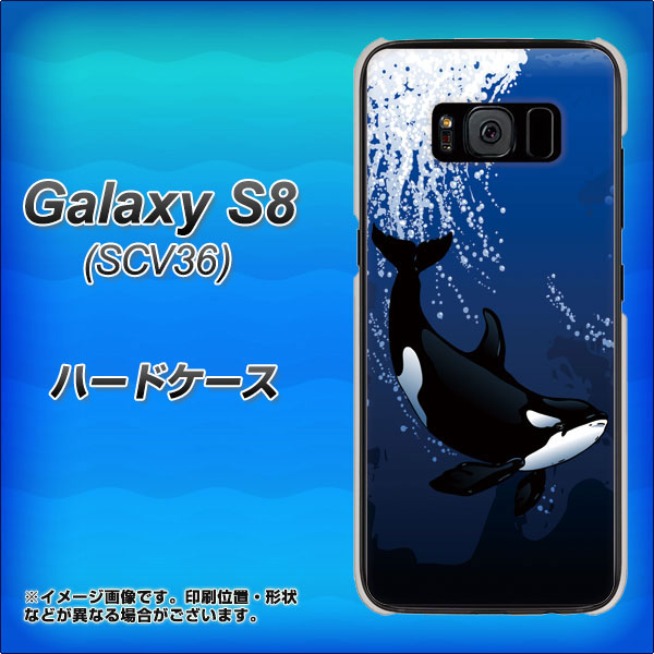 au ギャラクシー S8 SCV36 高画質仕上げ 背面印刷 ハードケース【423 シャチ】