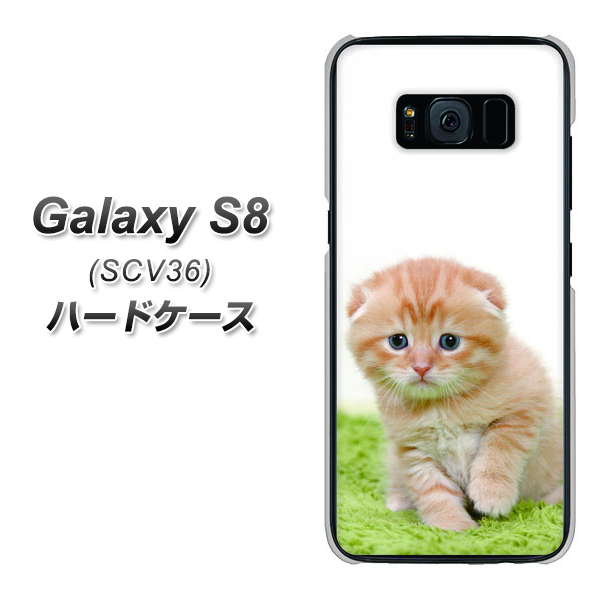 au ギャラクシー S8 SCV36 高画質仕上げ 背面印刷 ハードケース【VA802 ネコこっそり】