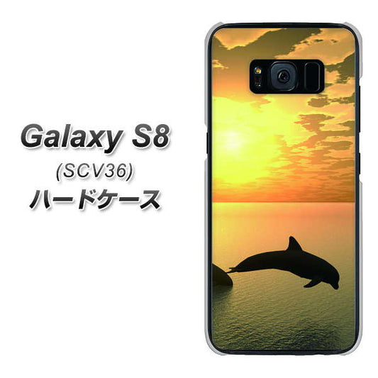 au ギャラクシー S8 SCV36 高画質仕上げ 背面印刷 ハードケース【VA845 夕暮れのドルフィン】