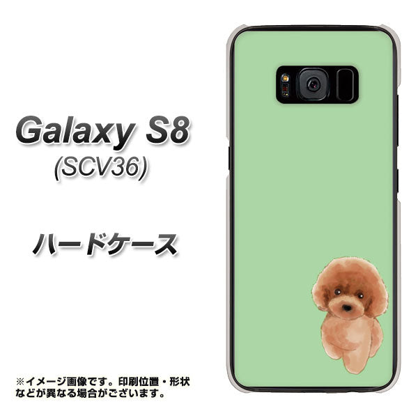 au ギャラクシー S8 SCV36 高画質仕上げ 背面印刷 ハードケース【YJ052 トイプードルレッド（ グリーン）】