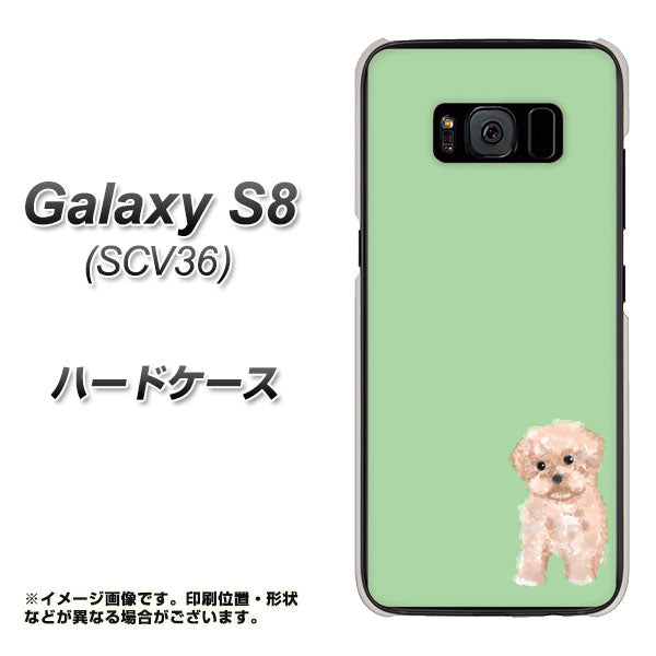 au ギャラクシー S8 SCV36 高画質仕上げ 背面印刷 ハードケース【YJ063 トイプードルアプリコット（グリーン）】