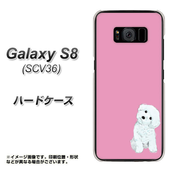 au ギャラクシー S8 SCV36 高画質仕上げ 背面印刷 ハードケース【YJ069 トイプードルホワイト（ピンク）】