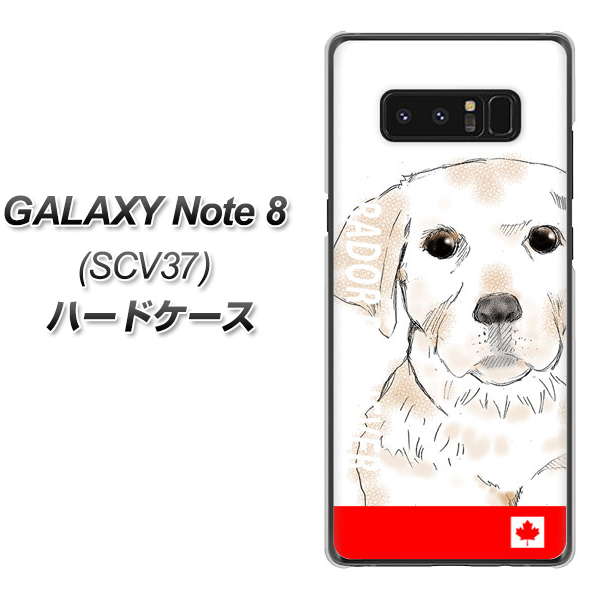 au ギャラクシーノート8 SCV37 高画質仕上げ 背面印刷 ハードケース【YD821 ラブラドールレトリバー02】