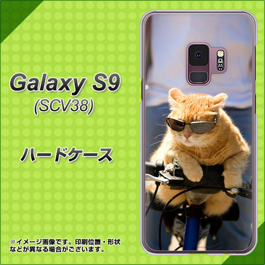 au ギャラクシー S9 SCV38 高画質仕上げ 背面印刷 ハードケース【595 にゃんとサイクル】