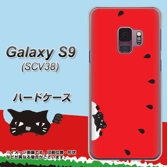 au ギャラクシー S9 SCV38 高画質仕上げ 背面印刷 ハードケース【IA812 すいかをかじるネコ】