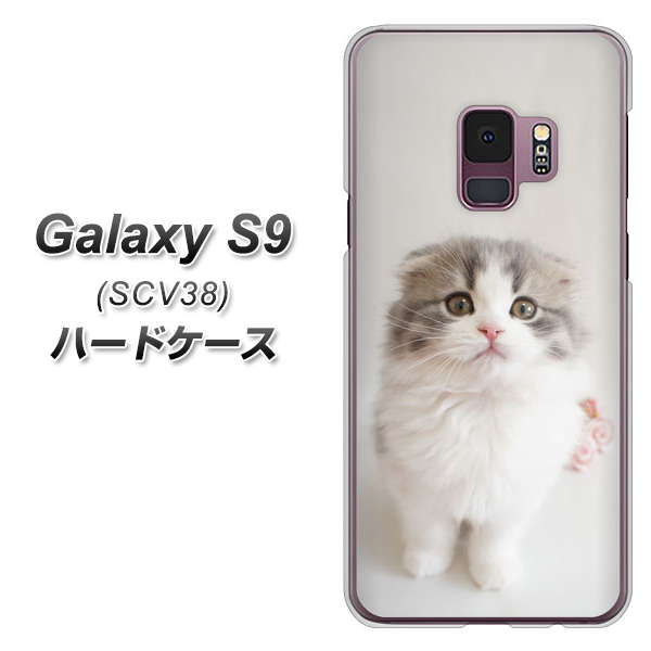 au ギャラクシー S9 SCV38 高画質仕上げ 背面印刷 ハードケース【VA803 まっていますネコ】