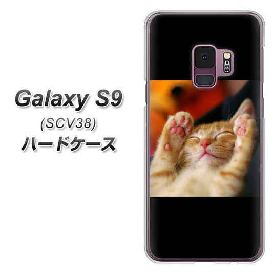 au ギャラクシー S9 SCV38 高画質仕上げ 背面印刷 ハードケース【VA804 爆睡するネコ】