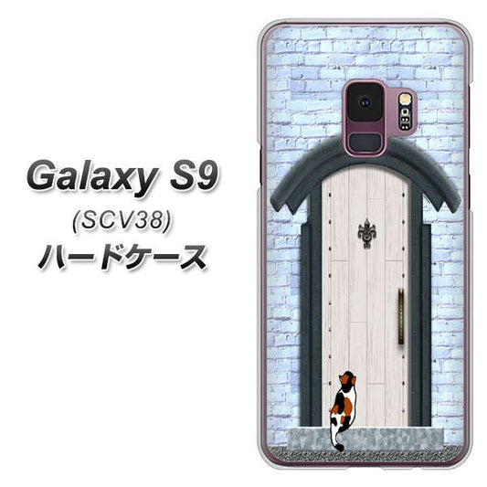 au ギャラクシー S9 SCV38 高画質仕上げ 背面印刷 ハードケース【YA951 石ドア01】