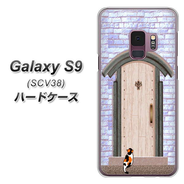 au ギャラクシー S9 SCV38 高画質仕上げ 背面印刷 ハードケース【YA952 石ドア02 素材クリア】