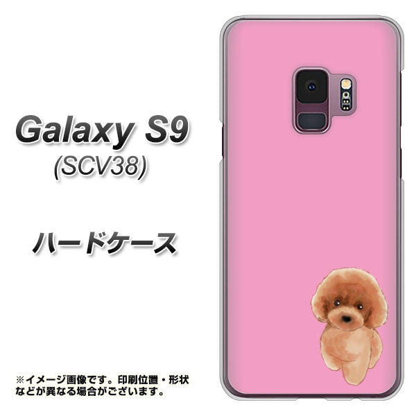 au ギャラクシー S9 SCV38 高画質仕上げ 背面印刷 ハードケース【YJ049 トイプードルレッド（ピンク）】