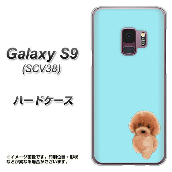 au ギャラクシー S9 SCV38 高画質仕上げ 背面印刷 ハードケース【YJ050 トイプードルレッド（ブルー）】