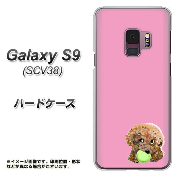 au ギャラクシー S9 SCV38 高画質仕上げ 背面印刷 ハードケース【YJ053 トイプードル＆ボール（ピンク）】