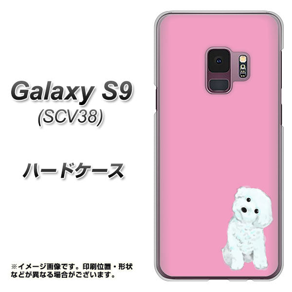 au ギャラクシー S9 SCV38 高画質仕上げ 背面印刷 ハードケース【YJ069 トイプードルホワイト（ピンク）】