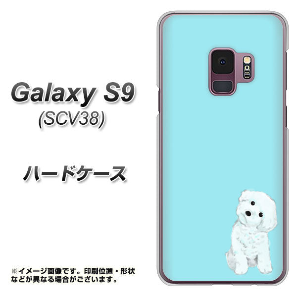 au ギャラクシー S9 SCV38 高画質仕上げ 背面印刷 ハードケース【YJ070 トイプードルホワイト（ブルー）】