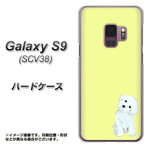 au ギャラクシー S9 SCV38 高画質仕上げ 背面印刷 ハードケース【YJ072 トイプードルホワイト（イエロー）】