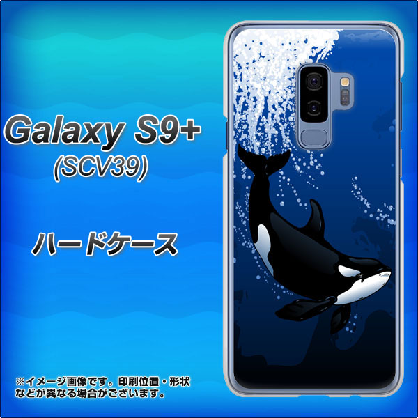 au ギャラクシー S9+ SCV39 高画質仕上げ 背面印刷 ハードケース【423 シャチ】