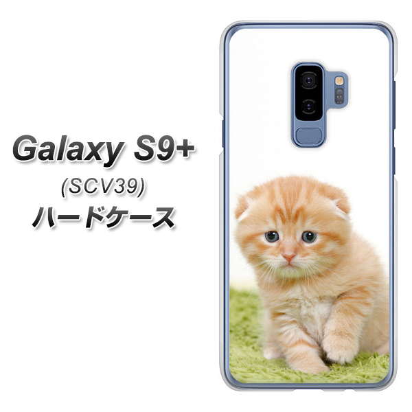 au ギャラクシー S9+ SCV39 高画質仕上げ 背面印刷 ハードケース【VA802 ネコこっそり】