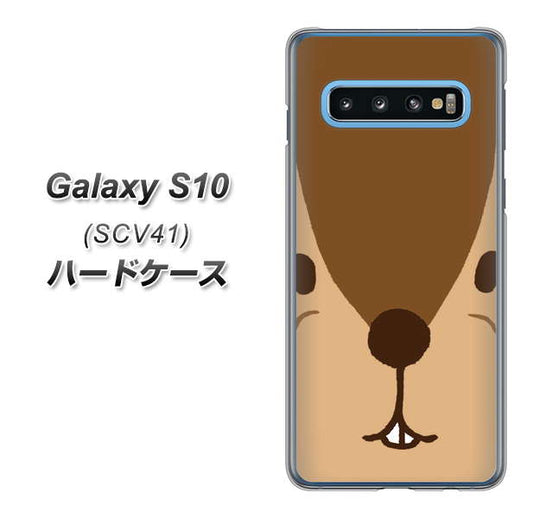 au ギャラクシー S10 SCV41 高画質仕上げ 背面印刷 ハードケース【349 りす】