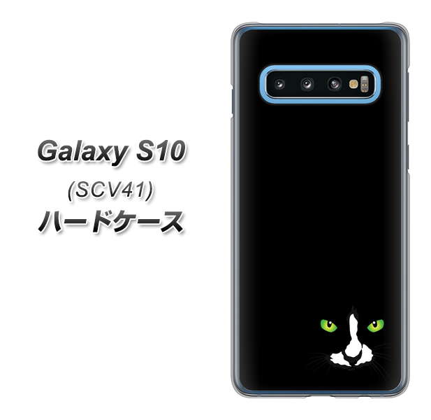 au ギャラクシー S10 SCV41 高画質仕上げ 背面印刷 ハードケース【398 黒ネコ】