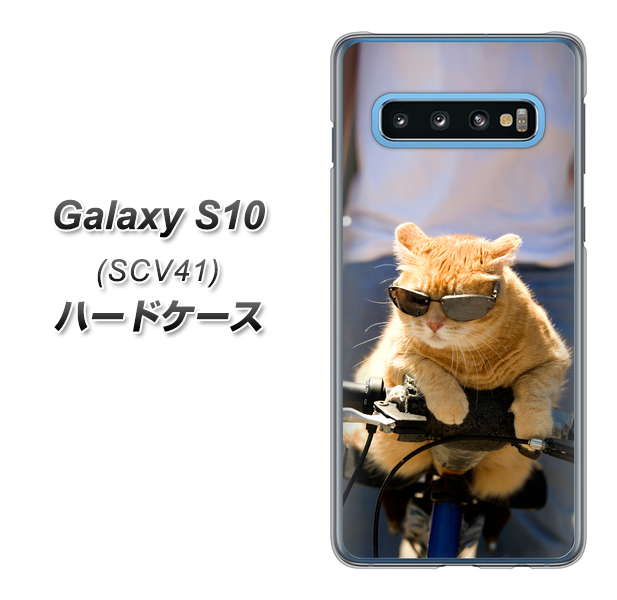au ギャラクシー S10 SCV41 高画質仕上げ 背面印刷 ハードケース【595 にゃんとサイクル】