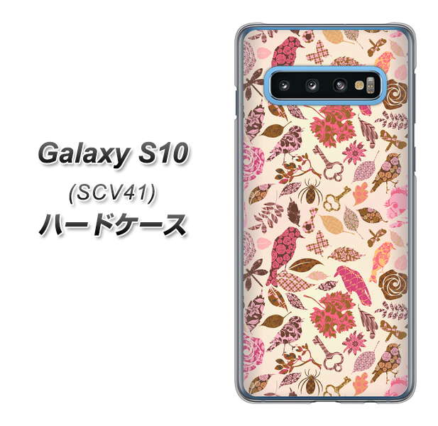 au ギャラクシー S10 SCV41 高画質仕上げ 背面印刷 ハードケース【640 おしゃれな小鳥】