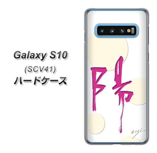 au ギャラクシー S10 SCV41 高画質仕上げ 背面印刷 ハードケース【OE833 陽】