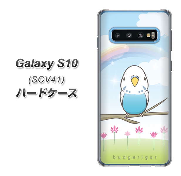 au ギャラクシー S10 SCV41 高画質仕上げ 背面印刷 ハードケース【SC839 セキセイインコ ブルー】