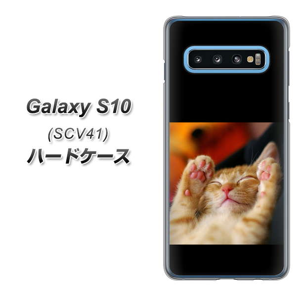 au ギャラクシー S10 SCV41 高画質仕上げ 背面印刷 ハードケース【VA804 爆睡するネコ】