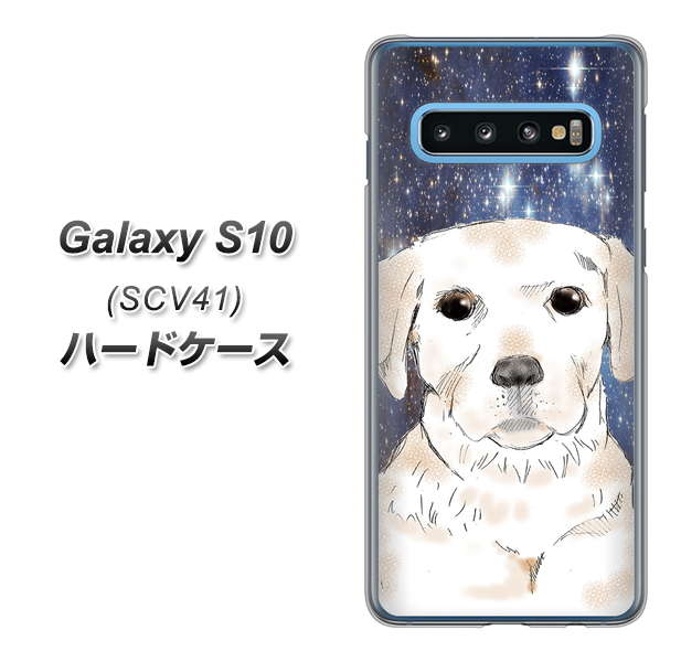 au ギャラクシー S10 SCV41 高画質仕上げ 背面印刷 ハードケース【YD820 ラブラドールレトリバー01】