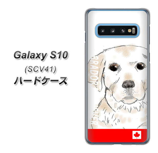 au ギャラクシー S10 SCV41 高画質仕上げ 背面印刷 ハードケース【YD821 ラブラドールレトリバー02】