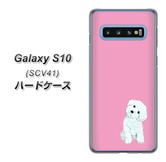 au ギャラクシー S10 SCV41 高画質仕上げ 背面印刷 ハードケース【YJ069 トイプードルホワイト（ピンク）】