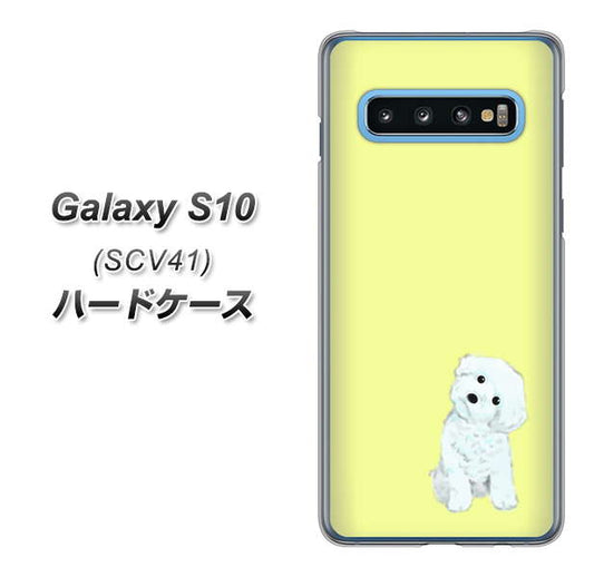 au ギャラクシー S10 SCV41 高画質仕上げ 背面印刷 ハードケース【YJ072 トイプードルホワイト（イエロー）】