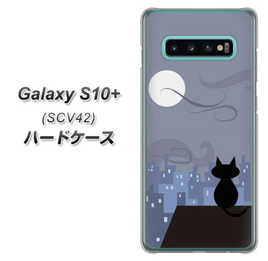 au ギャラクシー S10+ SCV42 高画質仕上げ 背面印刷 ハードケース【012 屋根の上のねこ】