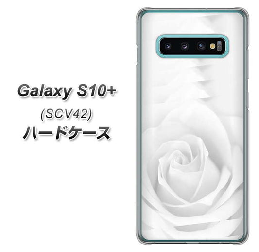 au ギャラクシー S10+ SCV42 高画質仕上げ 背面印刷 ハードケース【402 ホワイトＲｏｓｅ】