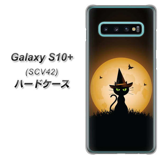 au ギャラクシー S10+ SCV42 高画質仕上げ 背面印刷 ハードケース【440 猫の魔法使い】