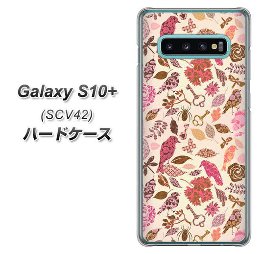 au ギャラクシー S10+ SCV42 高画質仕上げ 背面印刷 ハードケース【640 おしゃれな小鳥】