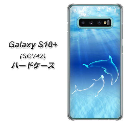 au ギャラクシー S10+ SCV42 高画質仕上げ 背面印刷 ハードケース【1048 海の守り神イルカ】