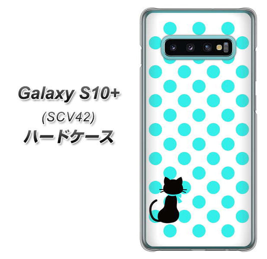 au ギャラクシー S10+ SCV42 高画質仕上げ 背面印刷 ハードケース【EK809 ネコとシンプル ライトブルー】