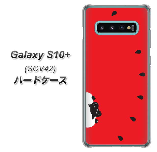 au ギャラクシー S10+ SCV42 高画質仕上げ 背面印刷 ハードケース【IA812 すいかをかじるネコ】