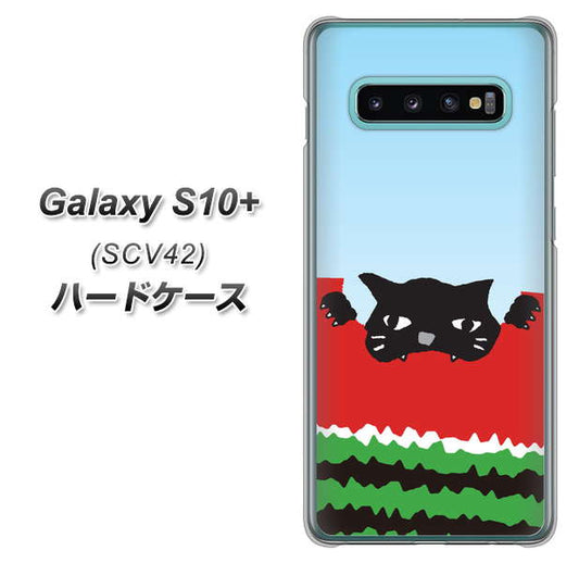 au ギャラクシー S10+ SCV42 高画質仕上げ 背面印刷 ハードケース【IA815 すいかをかじるネコ(大)】