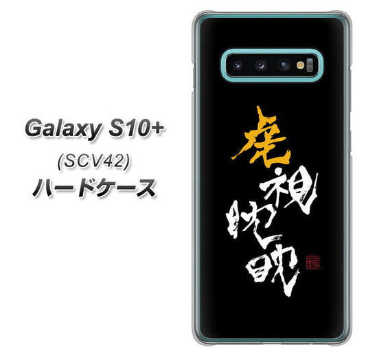 au ギャラクシー S10+ SCV42 高画質仕上げ 背面印刷 ハードケース【OE803 虎視眈々】