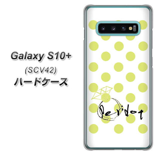 au ギャラクシー S10+ SCV42 高画質仕上げ 背面印刷 ハードケース【OE817 8月ペリシンプル】