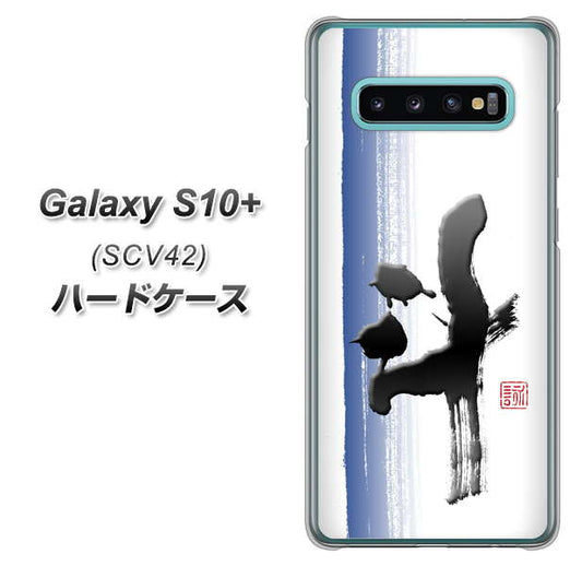 au ギャラクシー S10+ SCV42 高画質仕上げ 背面印刷 ハードケース【OE829 斗】