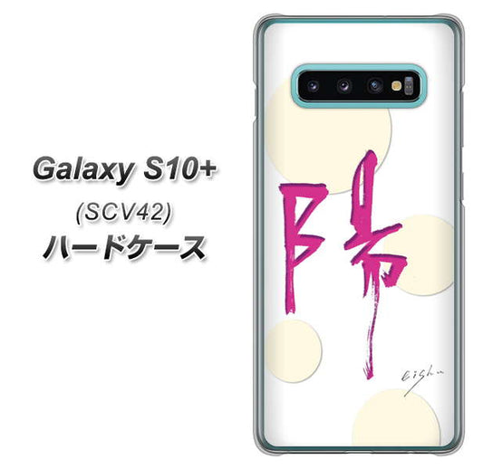 au ギャラクシー S10+ SCV42 高画質仕上げ 背面印刷 ハードケース【OE833 陽】