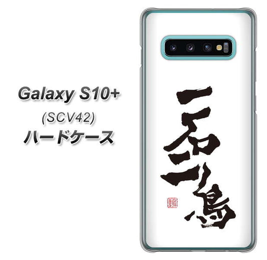 au ギャラクシー S10+ SCV42 高画質仕上げ 背面印刷 ハードケース【OE844 一石二鳥】