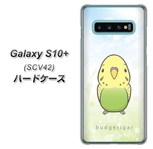 au ギャラクシー S10+ SCV42 高画質仕上げ 背面印刷 ハードケース【SC838 セキセイインコ グリーン】