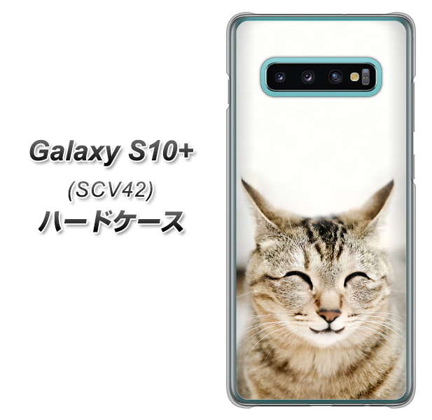 au ギャラクシー S10+ SCV42 高画質仕上げ 背面印刷 ハードケース【VA801 笑福ねこ】