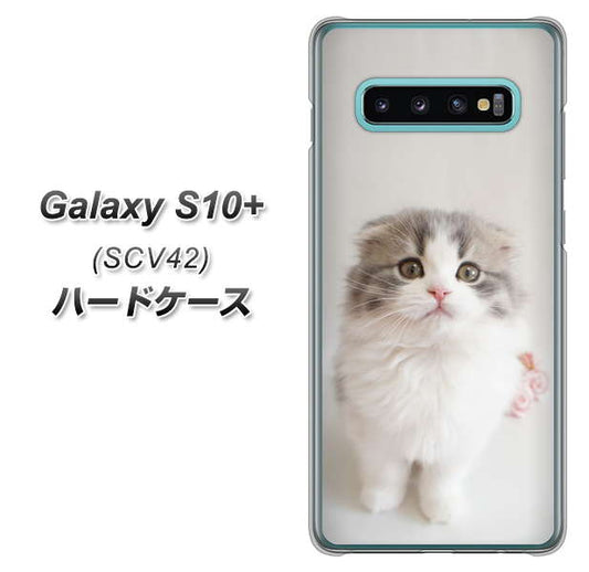 au ギャラクシー S10+ SCV42 高画質仕上げ 背面印刷 ハードケース【VA803 まっていますネコ】