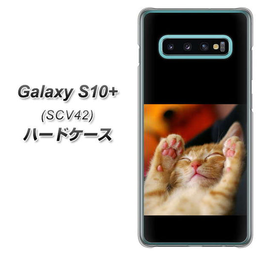 au ギャラクシー S10+ SCV42 高画質仕上げ 背面印刷 ハードケース【VA804 爆睡するネコ】