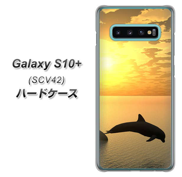 au ギャラクシー S10+ SCV42 高画質仕上げ 背面印刷 ハードケース【VA845 夕暮れのドルフィン】